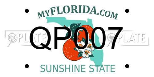 QP007 Florida License Plate