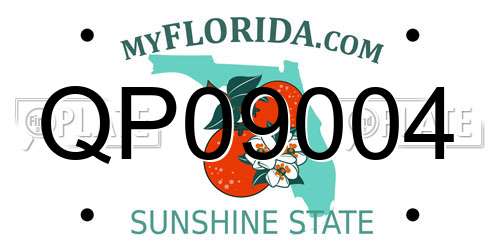 QP09004 Florida License Plate