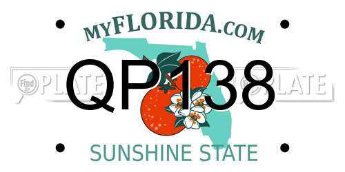 QP138 Florida License Plate