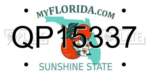 QP15337 Florida License Plate