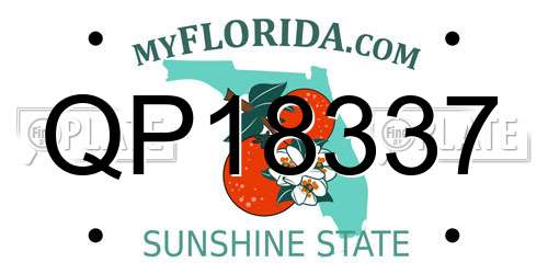 QP18337 Florida License Plate