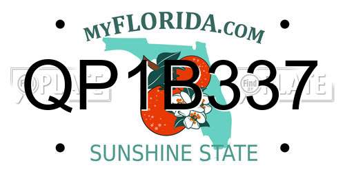 QP1B337 Florida License Plate