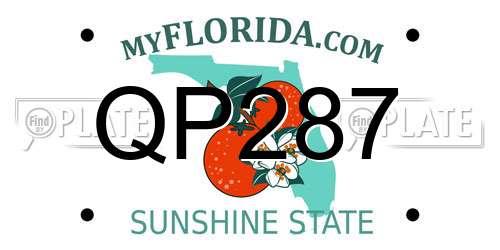 QP287 Florida License Plate