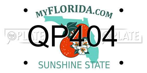 QP404 Florida License Plate