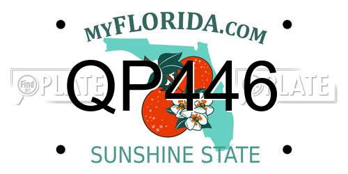 QP446 Florida License Plate