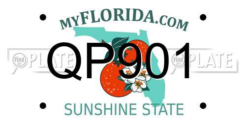QP901 Florida License Plate