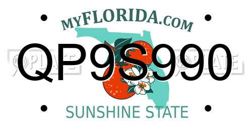 QP9S990 Florida License Plate