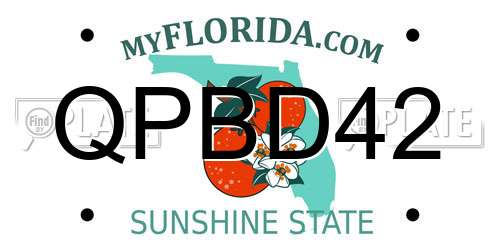QPBD42 Florida License Plate