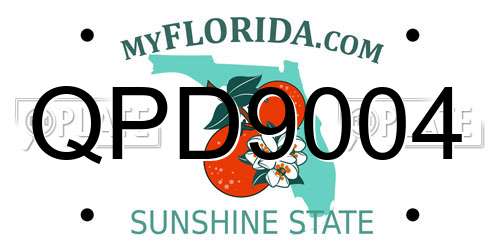 QPD9004 Florida License Plate