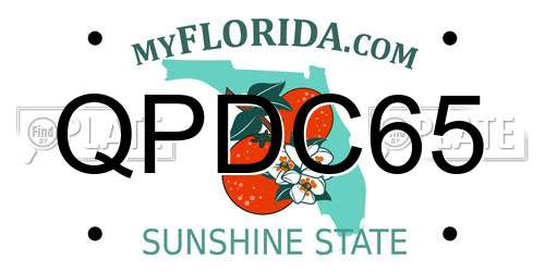 QPDC65 Florida License Plate