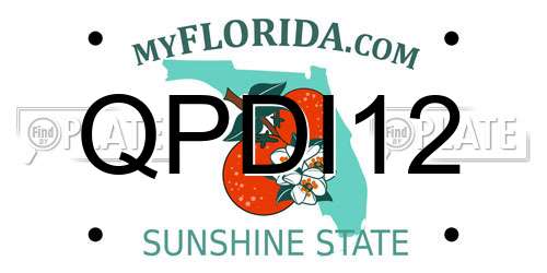 QPDI12 Florida License Plate