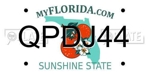 QPDJ44 Florida License Plate