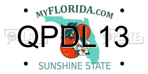 QPDL13 Florida License Plate