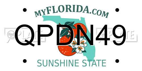 QPDN49 Florida License Plate