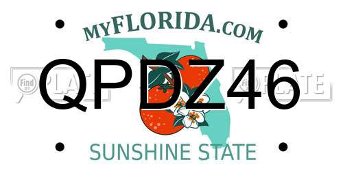 QPDZ46 Florida License Plate