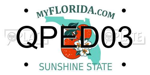 QPED03 Florida License Plate