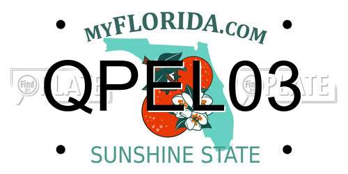 QPEL03 Florida License Plate