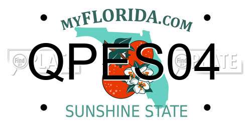 QPES04 Florida License Plate
