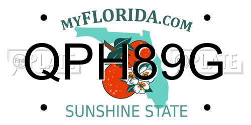 QPH89G Florida License Plate