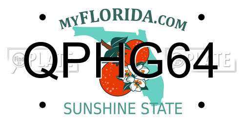 QPHG64 Florida License Plate