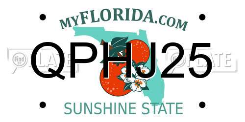 QPHJ25 Florida License Plate