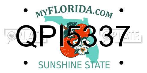 QPI5337 Florida License Plate