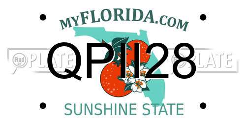 QPII28 Florida License Plate