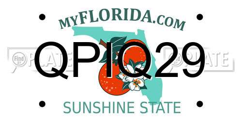 QPIQ29 Florida License Plate
