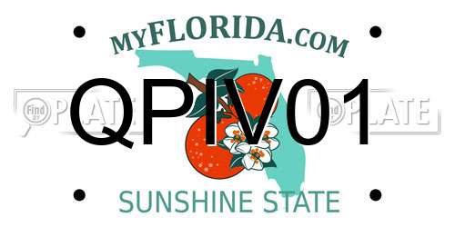 QPIV01 Florida License Plate