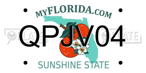 QPJV04 Florida License Plate