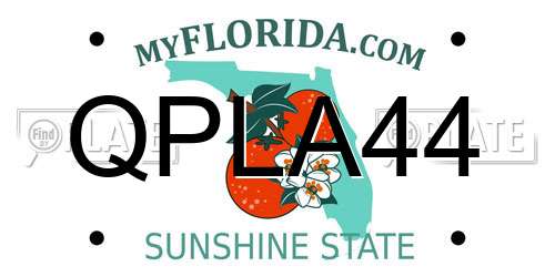 QPLA44 Florida License Plate