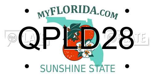 QPLD28 Florida License Plate