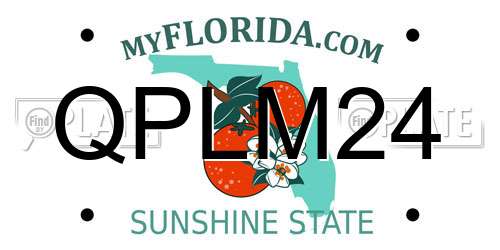 QPLM24 Florida License Plate
