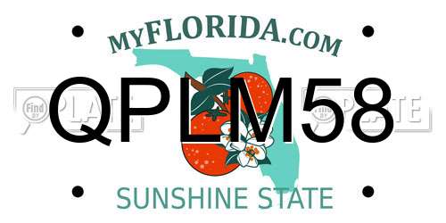 QPLM58 Florida License Plate