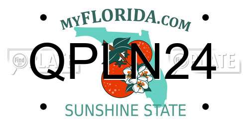 QPLN24 Florida License Plate