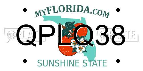 QPLQ38 Florida License Plate