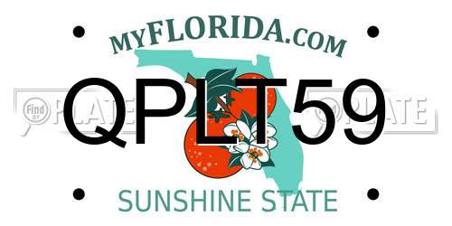 QPLT59 Florida License Plate