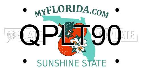 QPLT90 Florida License Plate