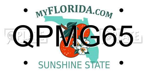 QPMG65 Florida License Plate