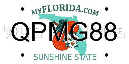 QPMG88 Florida License Plate