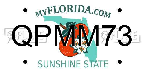 QPMM73 Florida License Plate