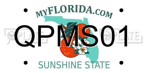 QPMS01 Florida License Plate