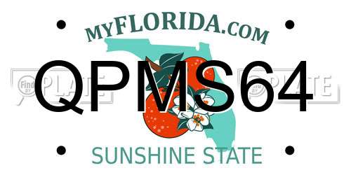 QPMS64 Florida License Plate