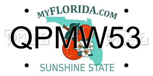 QPMW53 Florida License Plate