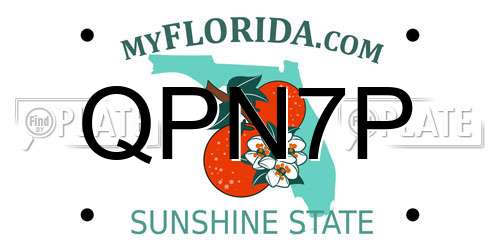 QPN7P Florida License Plate