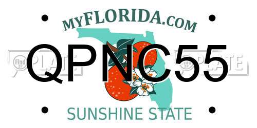 QPNC55 Florida License Plate