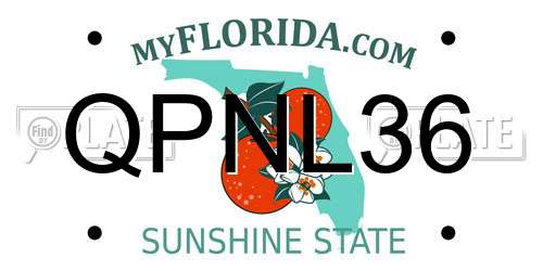 QPNL36 Florida License Plate