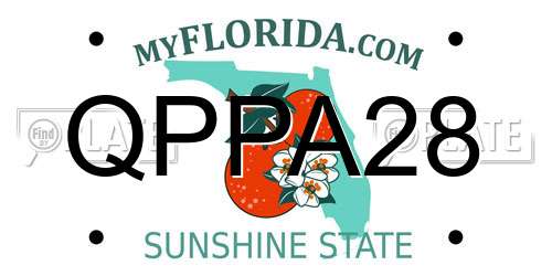QPPA28 Florida License Plate