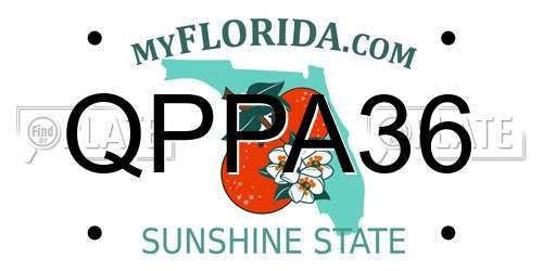 QPPA36 Florida License Plate