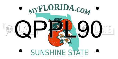 QPPL90 Florida License Plate